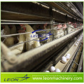 Leon series battery cage feeding system for layer/ broiler